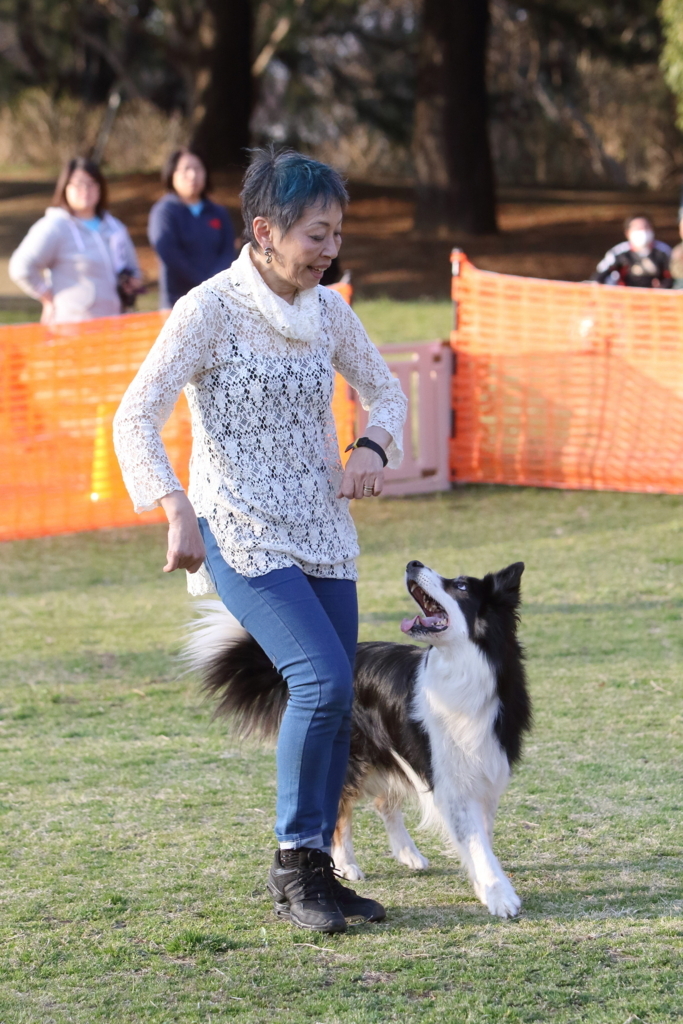 f:id:SunnySideDogs:20180405232012j:plain