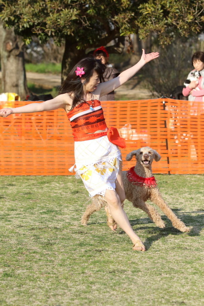 f:id:SunnySideDogs:20180405232031j:plain