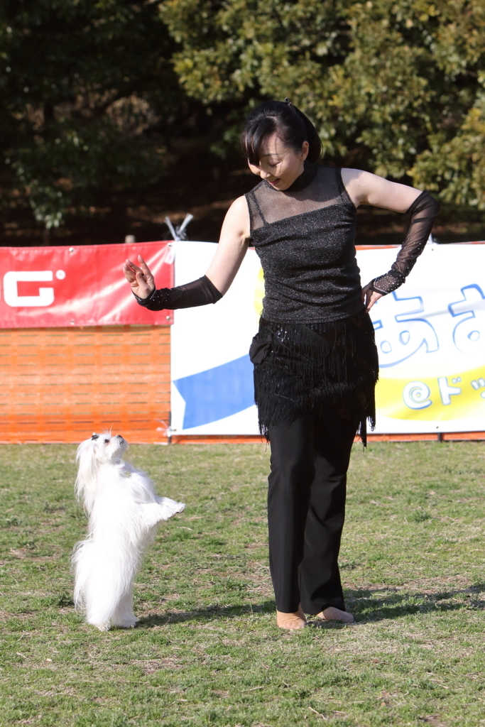 f:id:SunnySideDogs:20180405232438j:plain