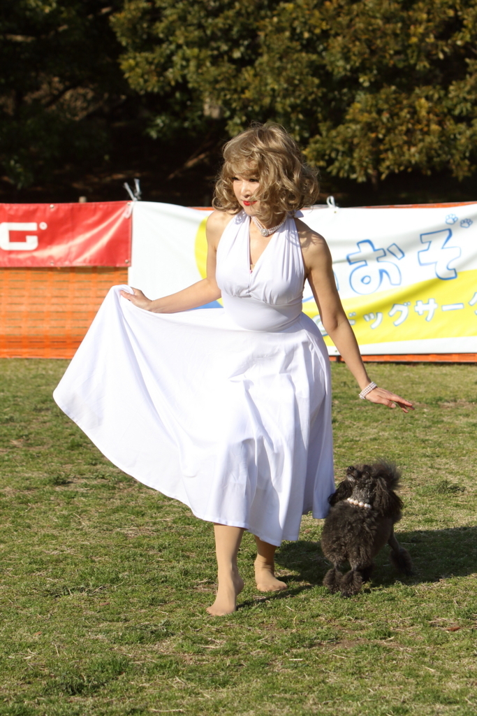 f:id:SunnySideDogs:20180405232447j:plain