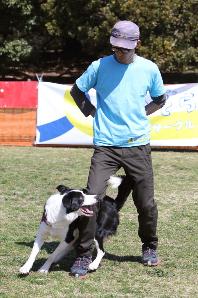 f:id:SunnySideDogs:20180405233637j:plain