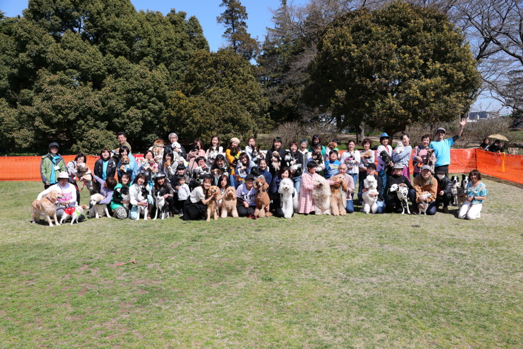 f:id:SunnySideDogs:20180406003429j:plain