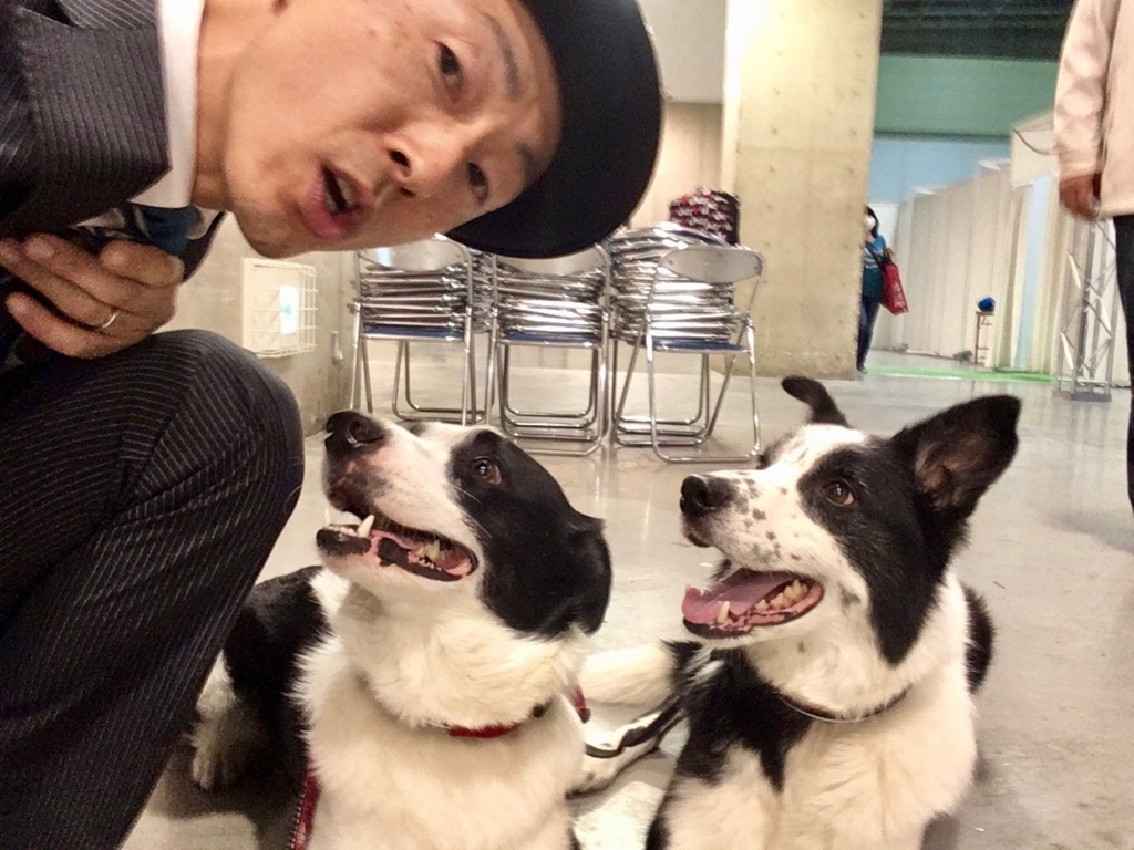 f:id:SunnySideDogs:20180410185735j:plain f:id:SunnySideDogs:20180410185735j:plain
