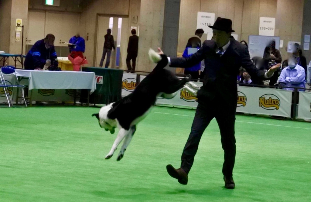 f:id:SunnySideDogs:20180410185957j:plain f:id:SunnySideDogs:20180410185957j:plain