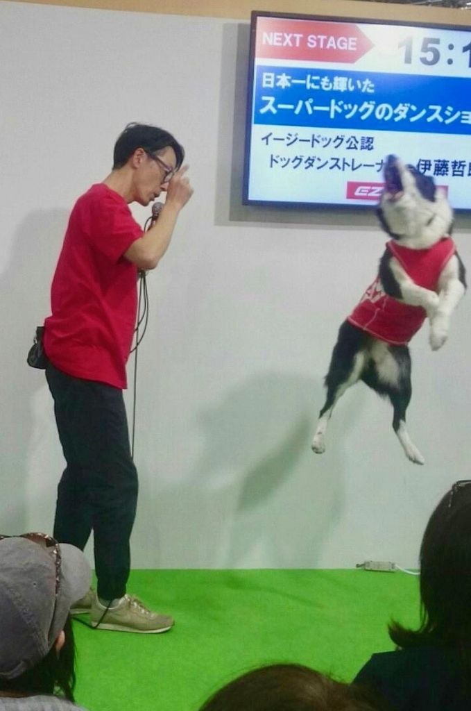 f:id:SunnySideDogs:20180410191935j:plain f:id:SunnySideDogs:20180410191935j:plain