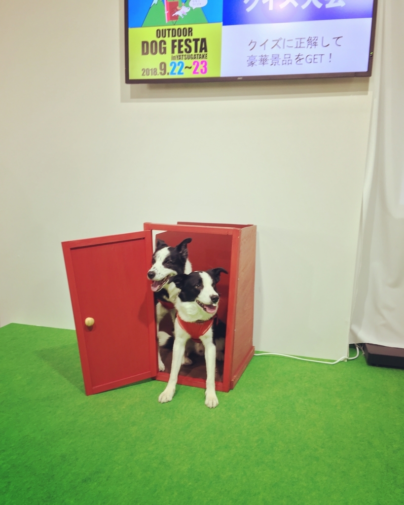 f:id:SunnySideDogs:20180410192537j:plain f:id:SunnySideDogs:20180410192537j:plain