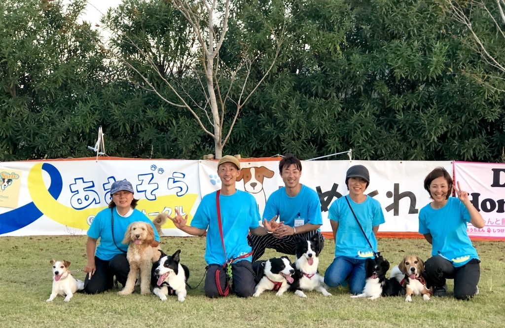 f:id:SunnySideDogs:20181018010730j:plain