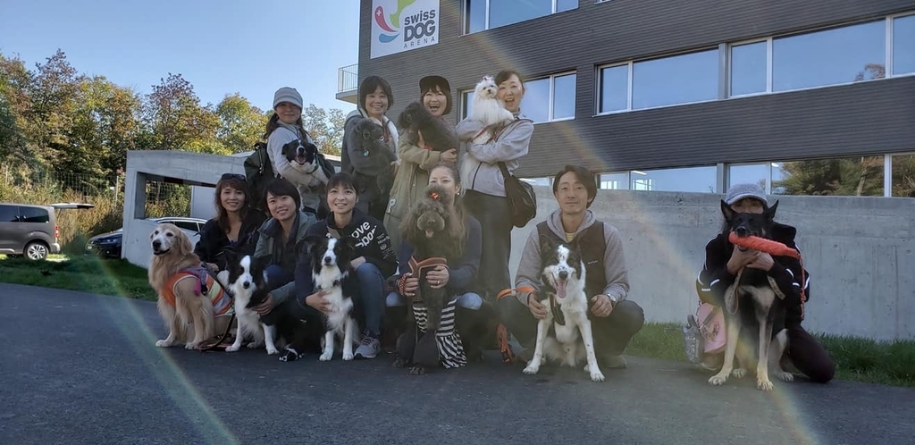 f:id:SunnySideDogs:20181021003226j:plain f:id:SunnySideDogs:20181021003226j:plain