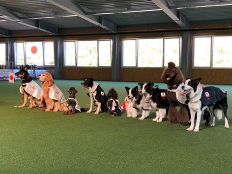 f:id:SunnySideDogs:20181021004428j:plain f:id:SunnySideDogs:20181021004428j:plain