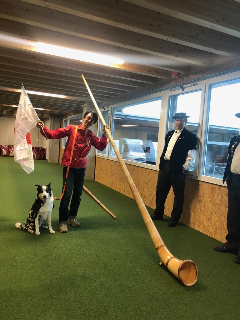f:id:SunnySideDogs:20181021004830j:plain f:id:SunnySideDogs:20181021004830j:plain