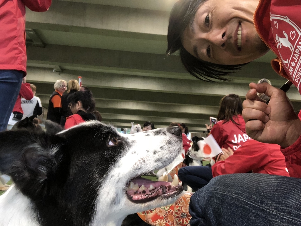 f:id:SunnySideDogs:20181021004949j:plain f:id:SunnySideDogs:20181021004949j:plain