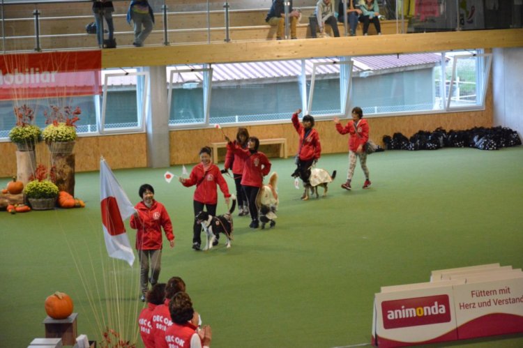 f:id:SunnySideDogs:20181021005339j:plain f:id:SunnySideDogs:20181021005339j:plain