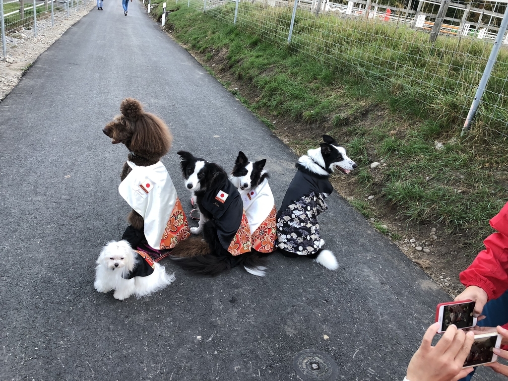 f:id:SunnySideDogs:20181021005514j:plain f:id:SunnySideDogs:20181021005514j:plain