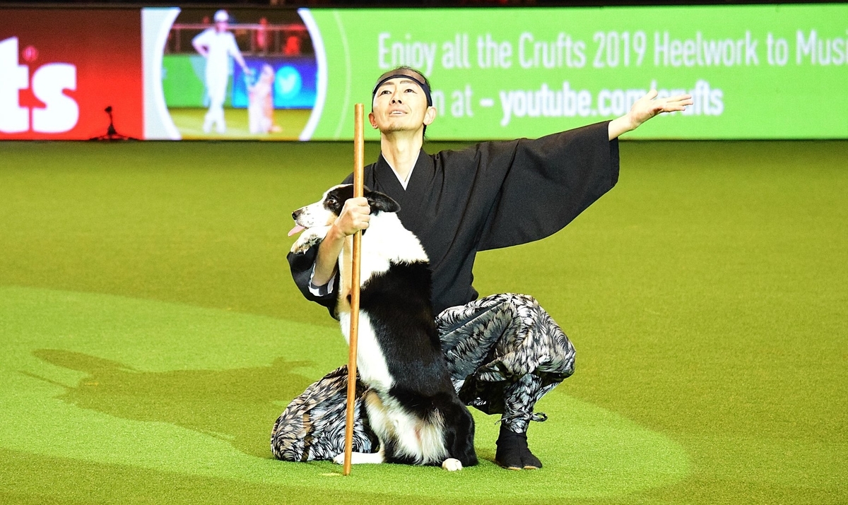 f:id:SunnySideDogs:20190315030350j:plain f:id:SunnySideDogs:20190315030350j:plain