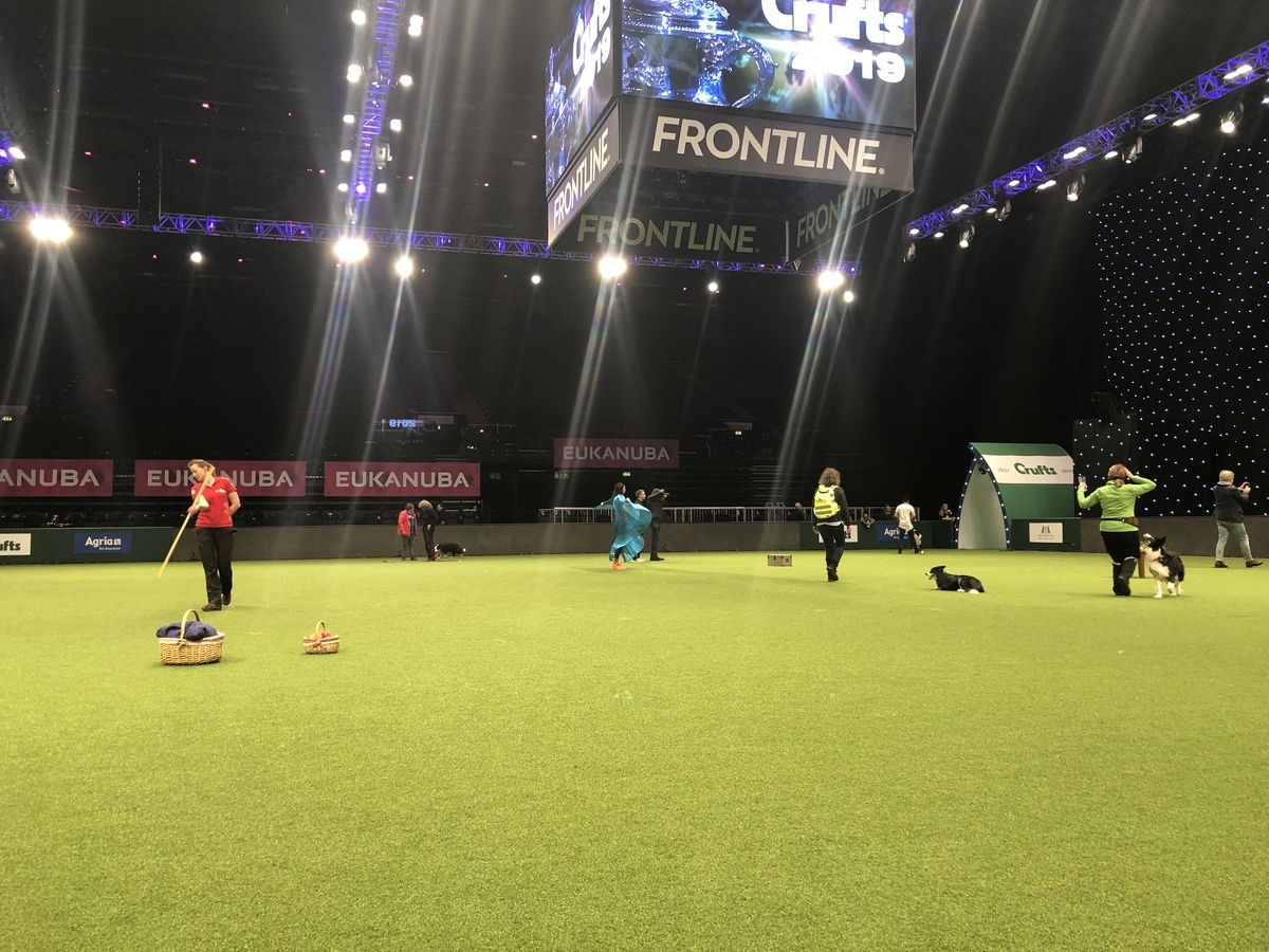 f:id:SunnySideDogs:20190315032624j:plain f:id:SunnySideDogs:20190315032624j:plain