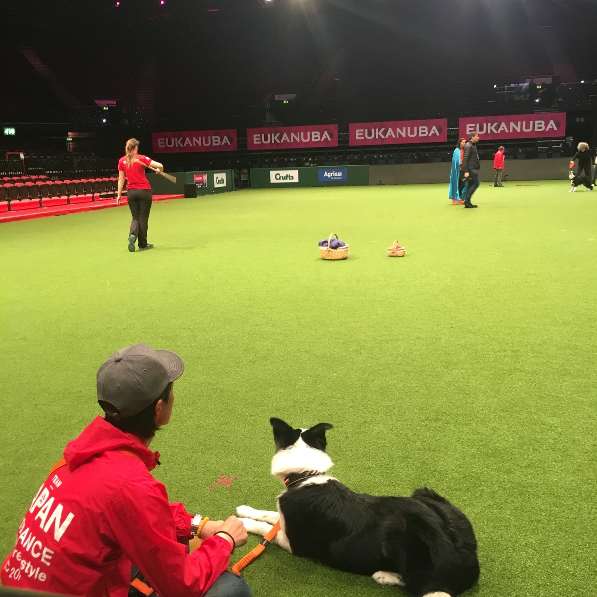 f:id:SunnySideDogs:20190315033131j:plain f:id:SunnySideDogs:20190315033131j:plain