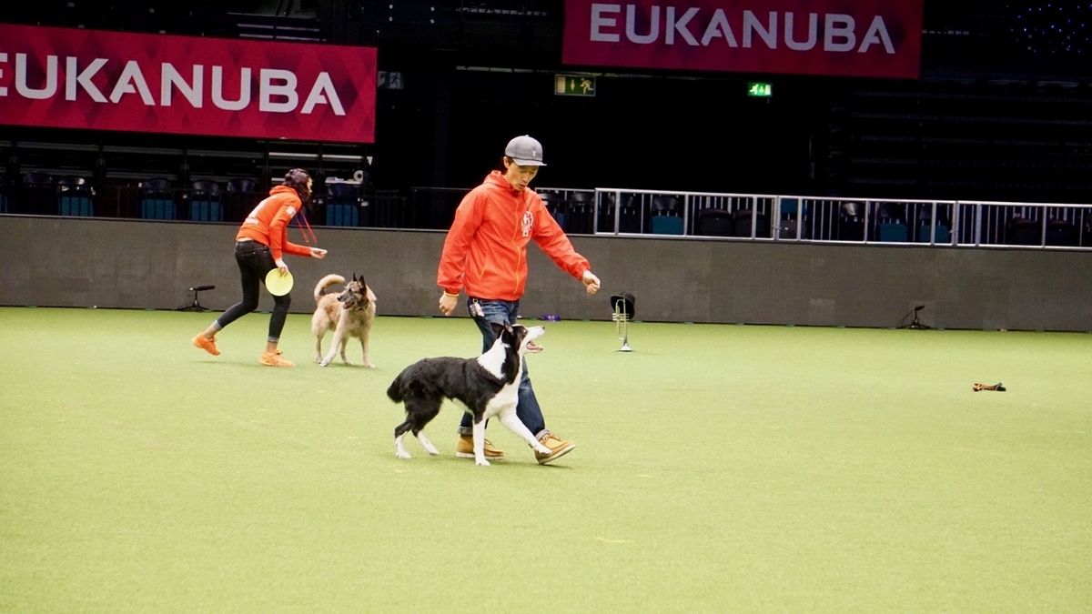 f:id:SunnySideDogs:20190315033616j:plain f:id:SunnySideDogs:20190315033616j:plain