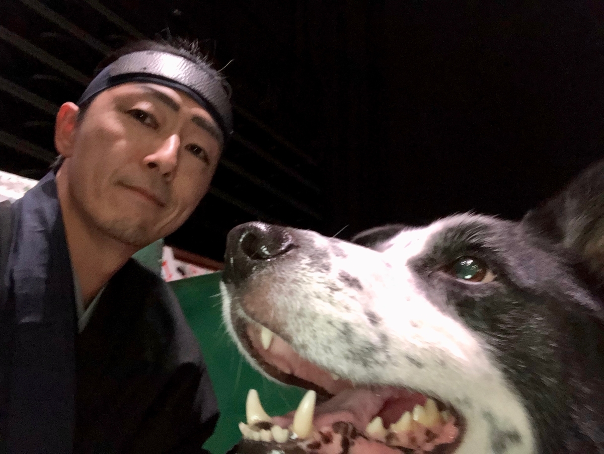 f:id:SunnySideDogs:20190315160405j:plain f:id:SunnySideDogs:20190315160405j:plain