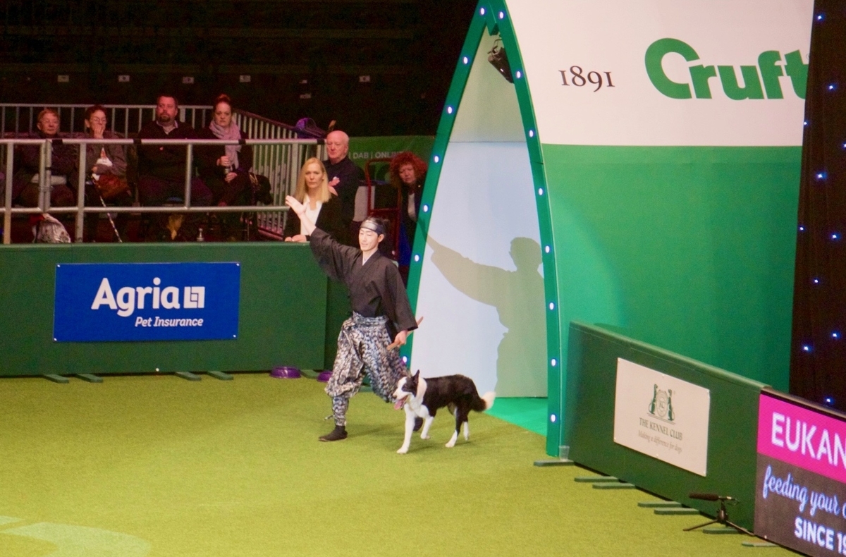 f:id:SunnySideDogs:20190315161504j:plain f:id:SunnySideDogs:20190315161504j:plain