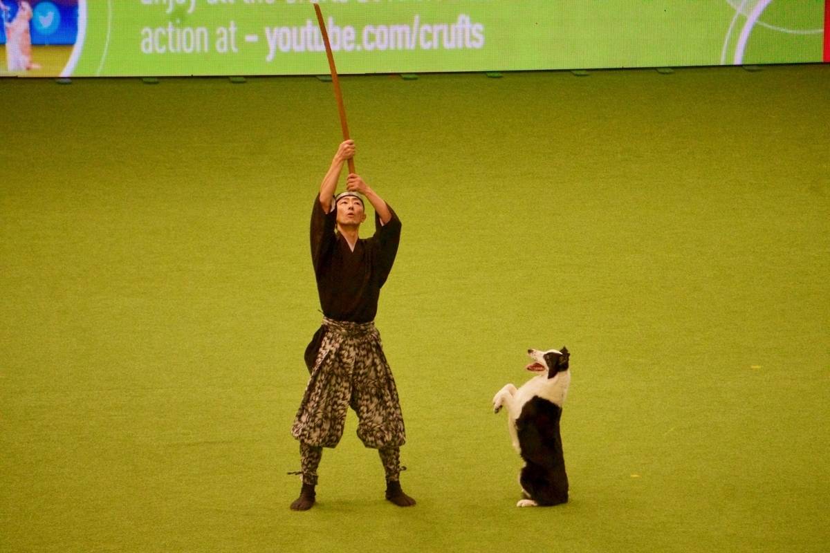 f:id:SunnySideDogs:20190315162245j:plain f:id:SunnySideDogs:20190315162245j:plain