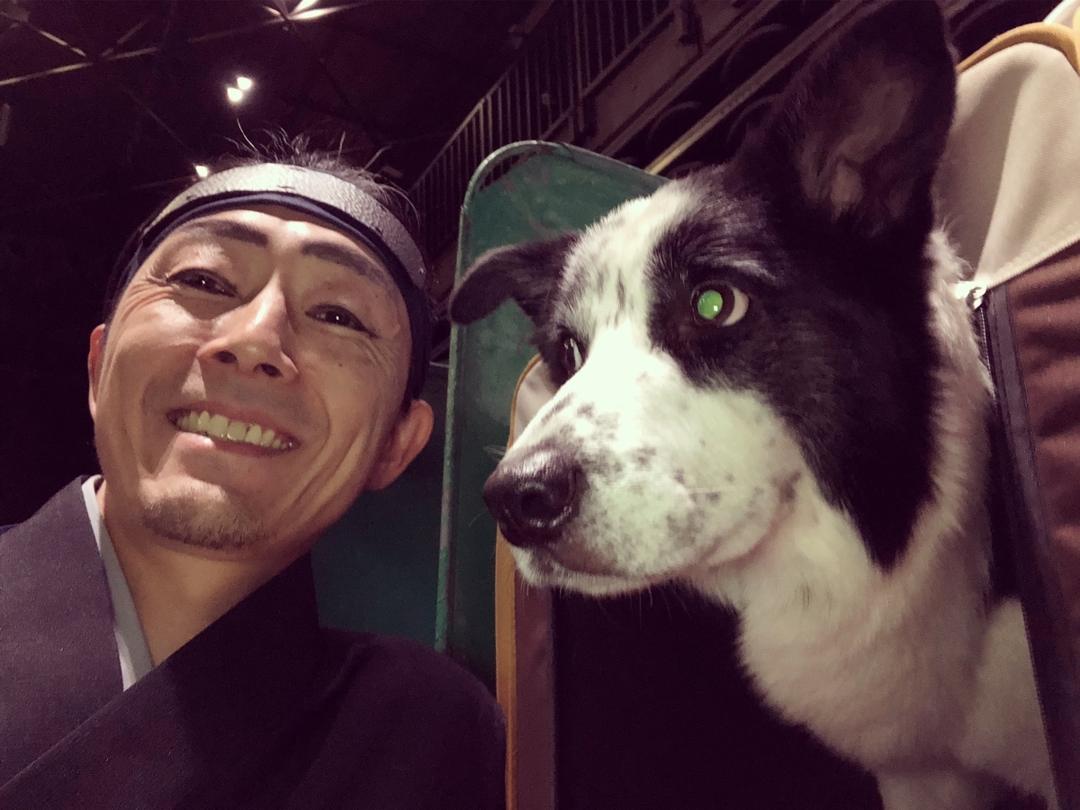 f:id:SunnySideDogs:20190315164350j:plain f:id:SunnySideDogs:20190315164350j:plain