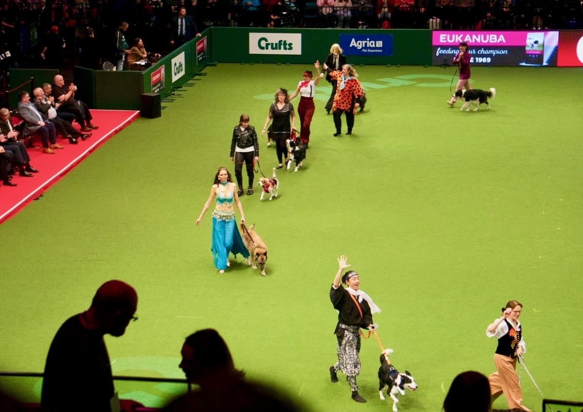 f:id:SunnySideDogs:20190315222027j:plain f:id:SunnySideDogs:20190315222027j:plain