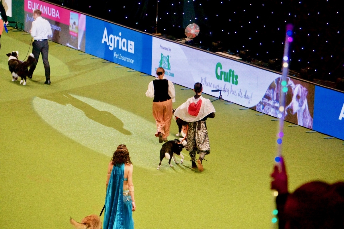 f:id:SunnySideDogs:20190315222635j:plain f:id:SunnySideDogs:20190315222635j:plain