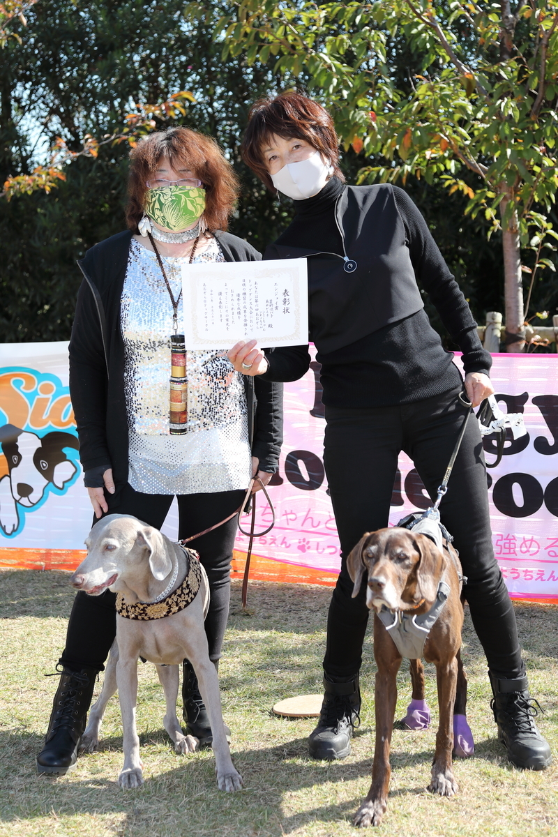 f:id:SunnySideDogs:20201124192659j:plain