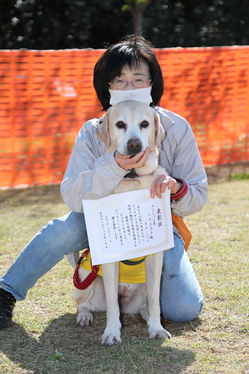 f:id:SunnySideDogs:20201124192908j:plain