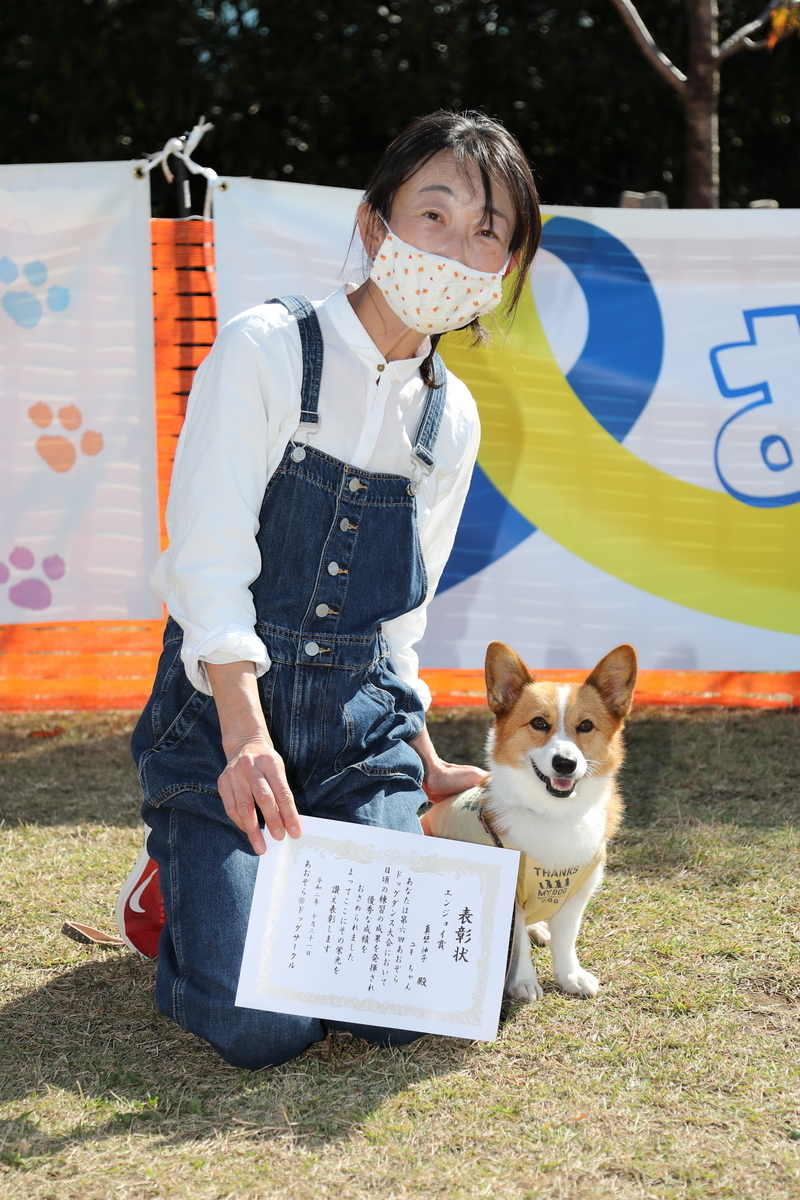 f:id:SunnySideDogs:20201124192939j:plain