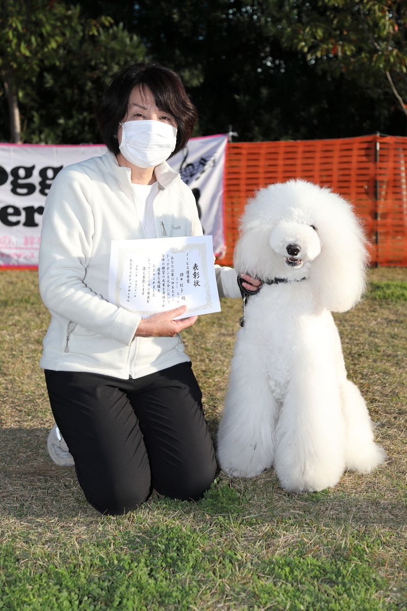 f:id:SunnySideDogs:20201124221102j:plain