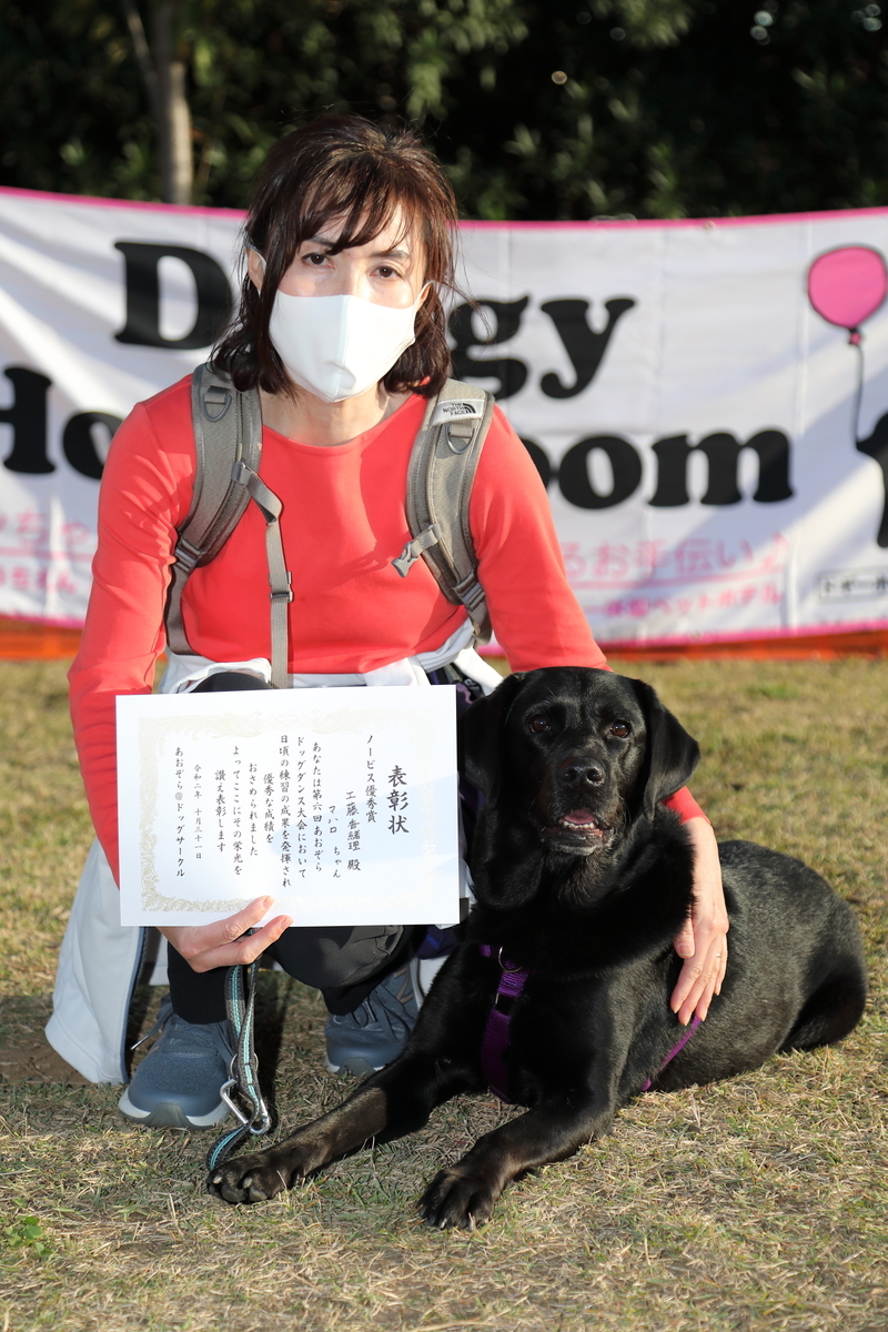 f:id:SunnySideDogs:20201124221440j:plain