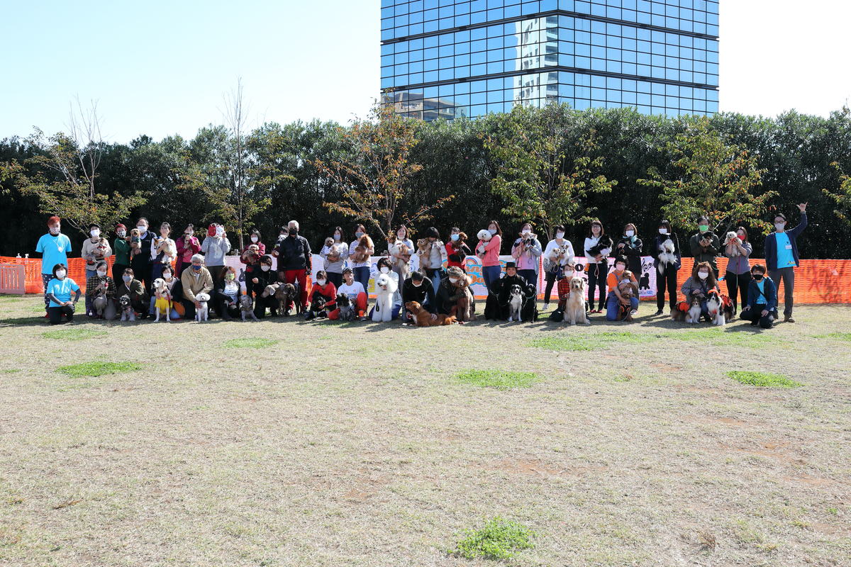 f:id:SunnySideDogs:20201124222521j:plain