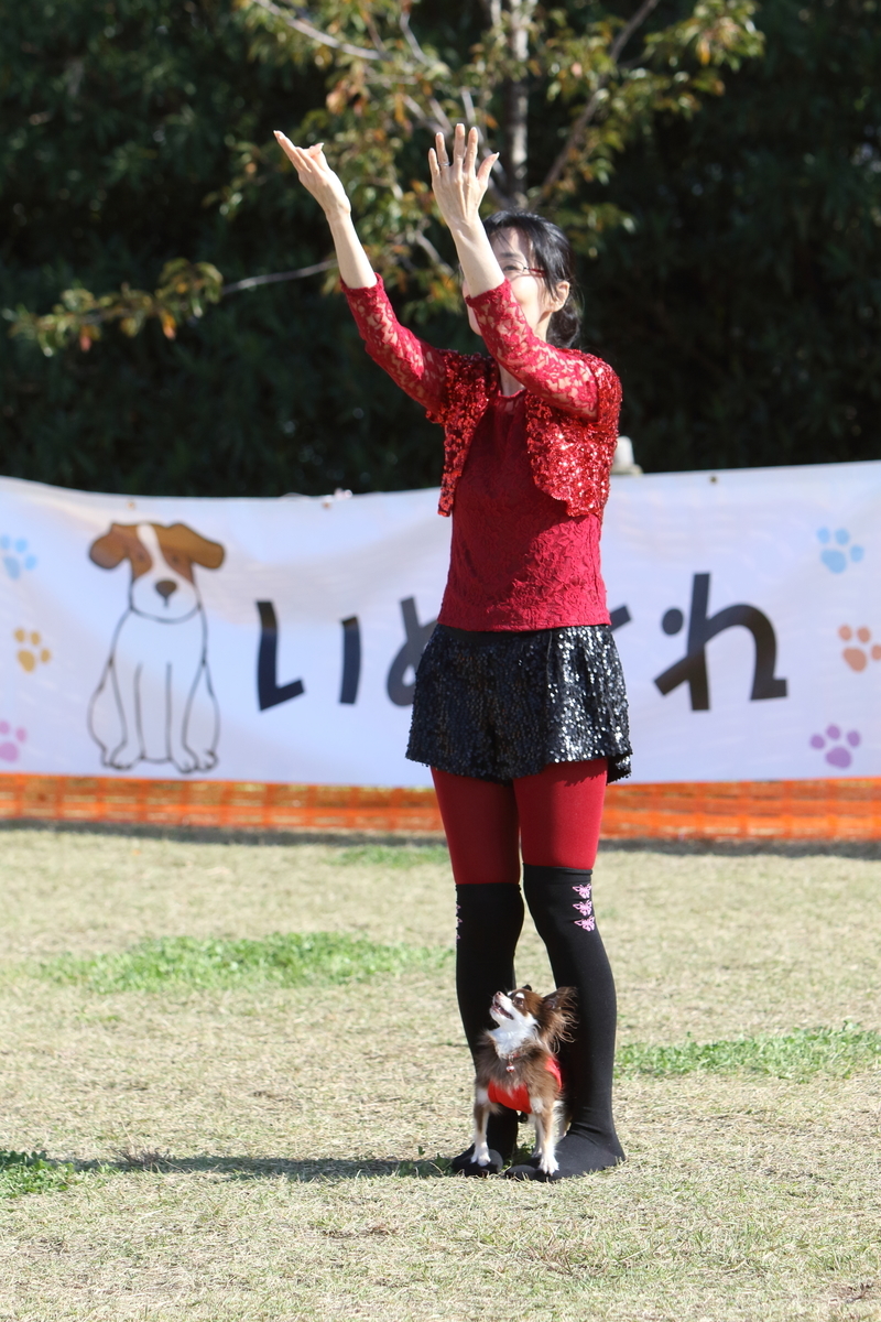 f:id:SunnySideDogs:20201124230310j:plain