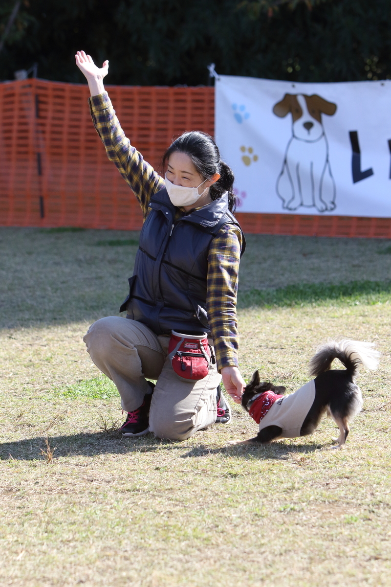 f:id:SunnySideDogs:20201124230533j:plain