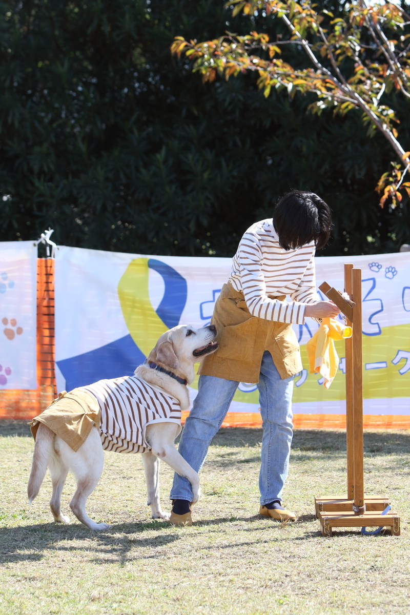 f:id:SunnySideDogs:20201124230657j:plain
