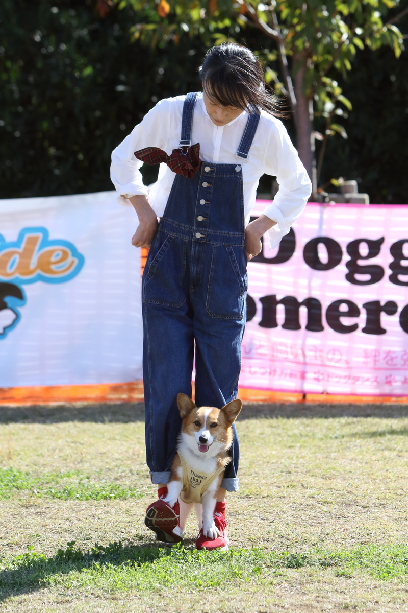 f:id:SunnySideDogs:20201124230917j:plain