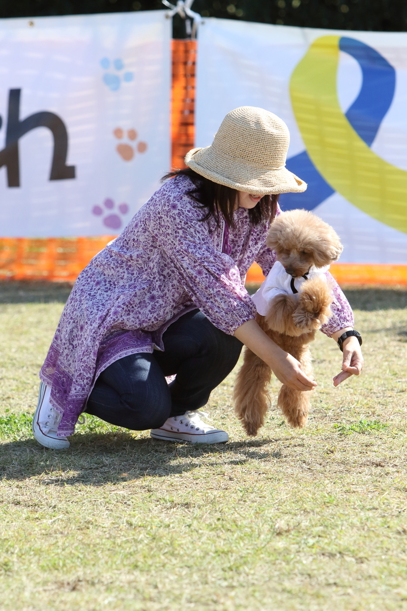 f:id:SunnySideDogs:20201124231118j:plain