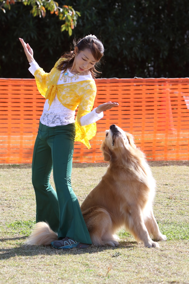 f:id:SunnySideDogs:20201124231248j:plain