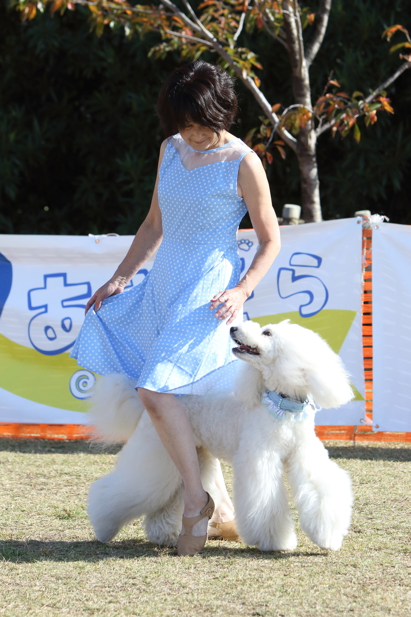 f:id:SunnySideDogs:20201124231756j:plain