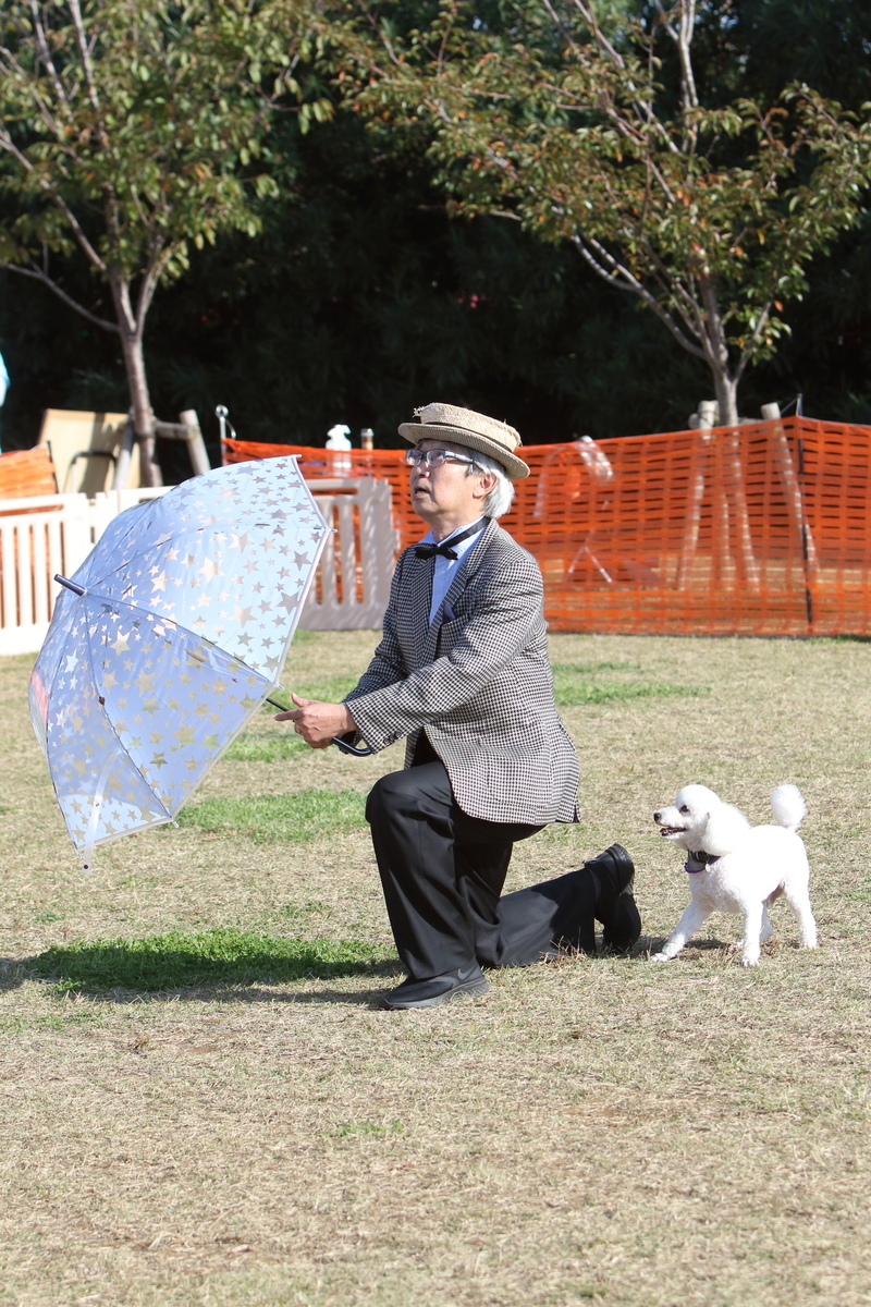 f:id:SunnySideDogs:20201124232226j:plain