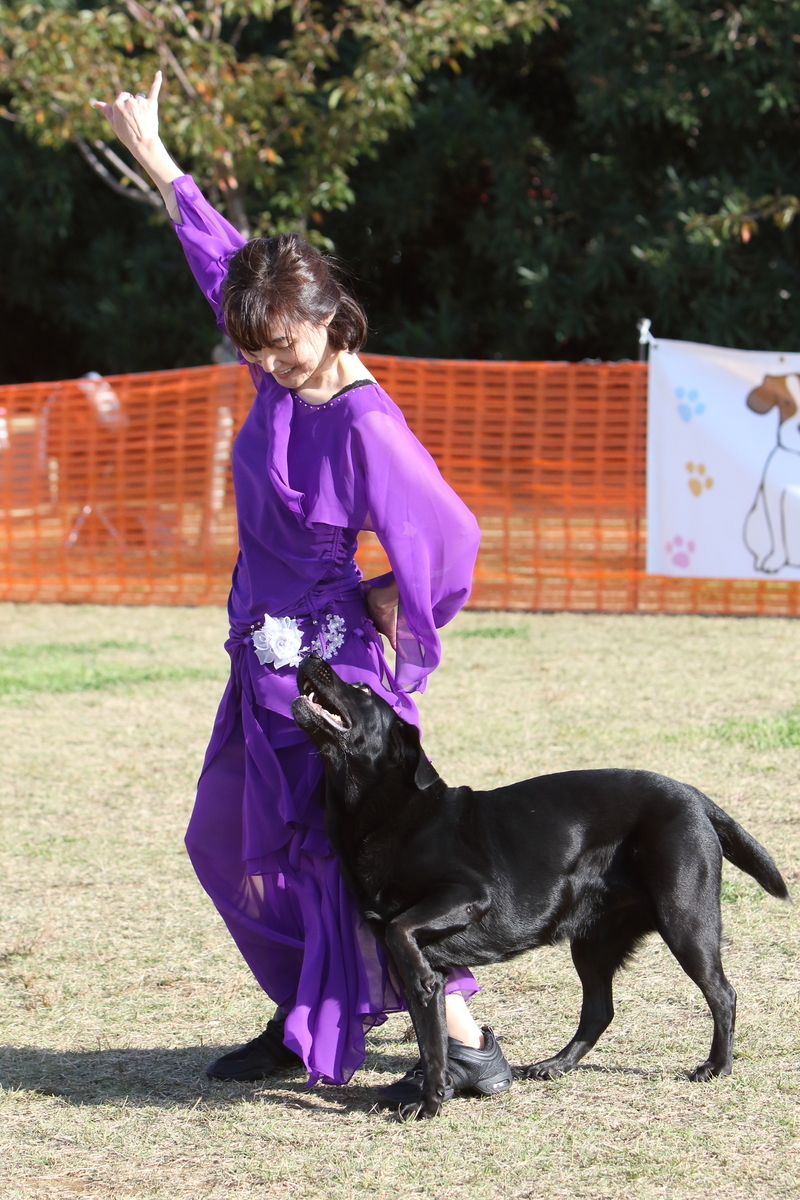 f:id:SunnySideDogs:20201124232830j:plain