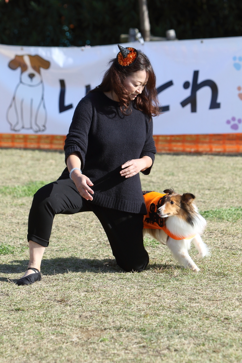 f:id:SunnySideDogs:20201124233603j:plain