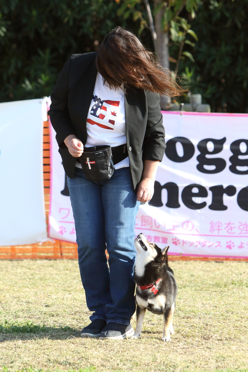 f:id:SunnySideDogs:20201124234300j:plain