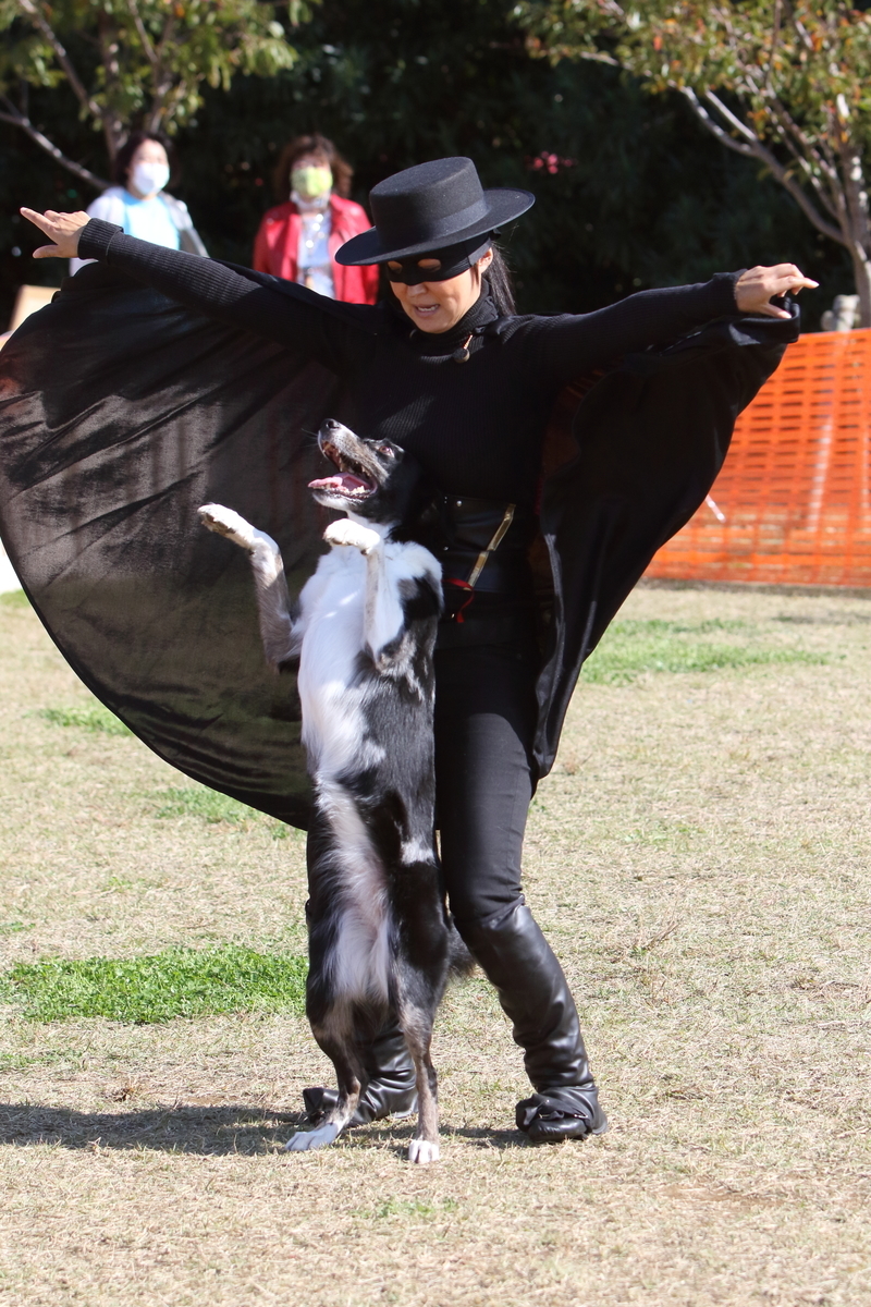 f:id:SunnySideDogs:20201124235017j:plain