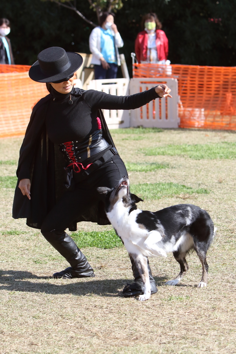 f:id:SunnySideDogs:20201124235116j:plain