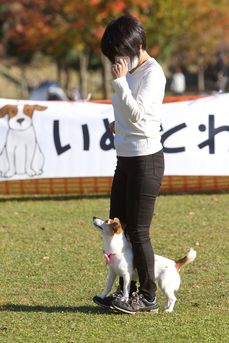 f:id:SunnySideDogs:20211127132217j:plain
