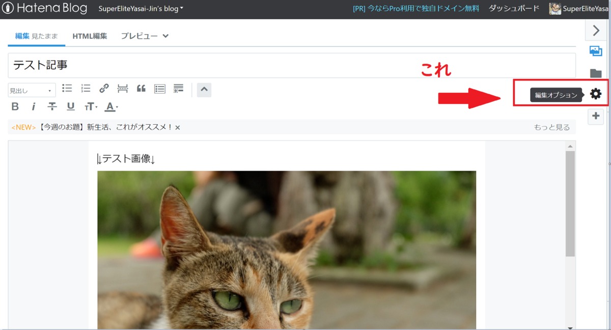 f:id:SuperEliteYasai-Jin:20190413202604p:plain