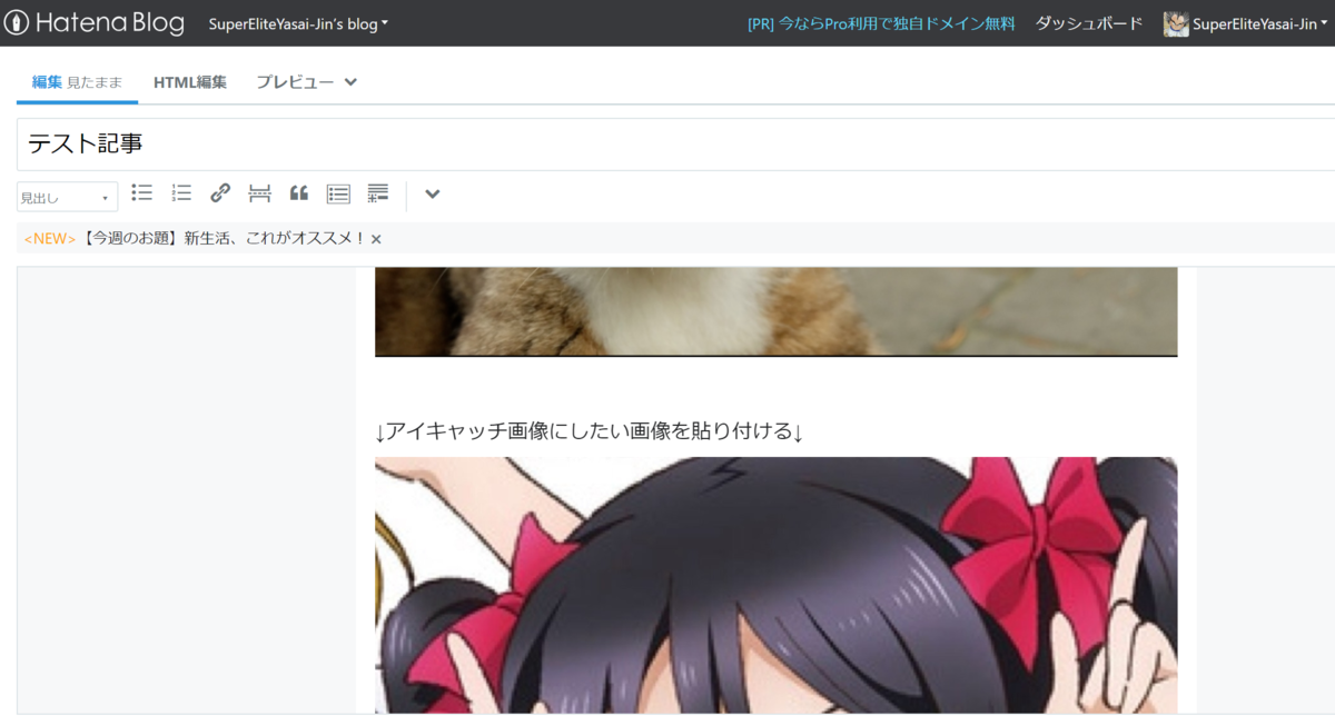 f:id:SuperEliteYasai-Jin:20190413211135p:plain