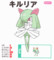 ポケモン_キルリア